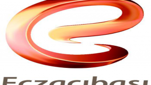 Eczacıbaşı Envarter Çalışması (17 Tesis)